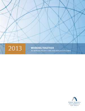 2013 Annual Report cover. The top of the cover is light blue, with thin overlapping circles in a darker blue. The report title is on a darker blue bar in the middle.